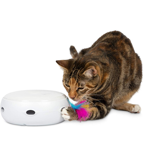 cat vet toy